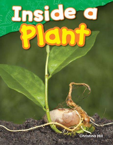 Inside a Plant (Content and Literacy Science Grade 1)