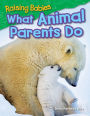 Raising Babies: What Animal Parents Do (Content and Literacy in Science Grade 1)