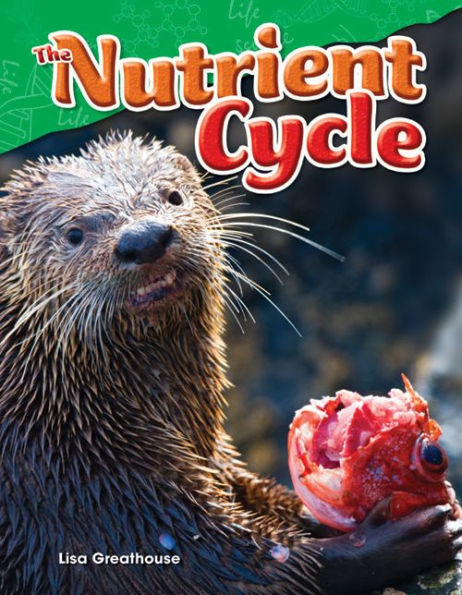 The Nutrient Cycle (Content and Literacy in Science Grade 4)