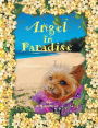 Angel in Paradise