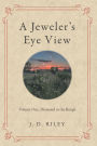 A Jeweler's Eye View: Volume One: Diamond in the Rough