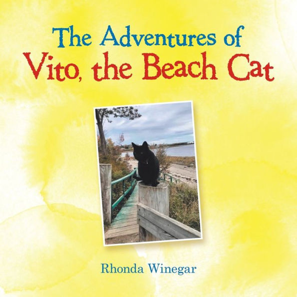 the Adventures of Vito, Beach Cat