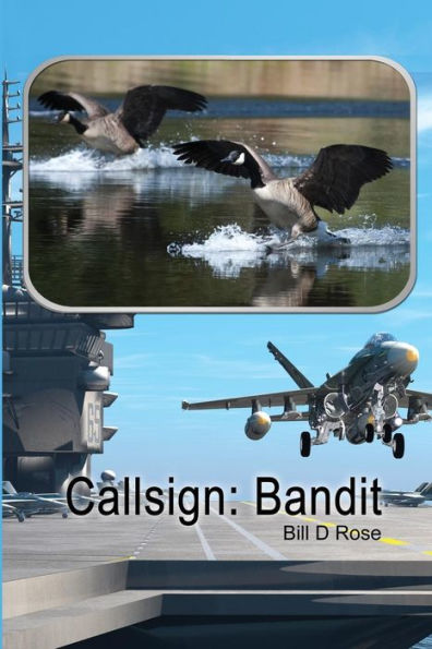 Callsign: Bandit