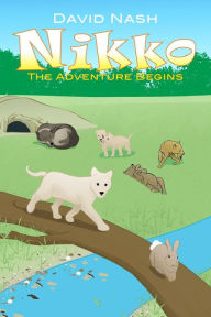Title: Nikko: The Adventure Begins, Author: David Nash