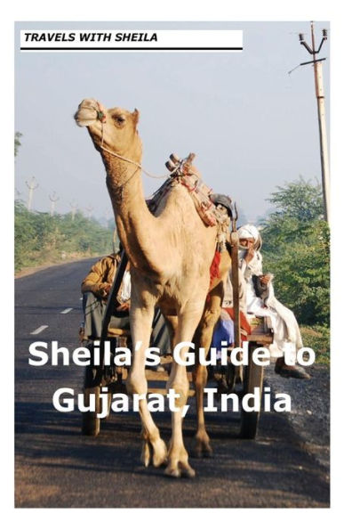 Sheila's Guide to Gujarat, India