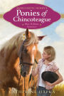 Blue Ribbon Summer (Marguerite Henry's Ponies of Chincoteague Series #2)