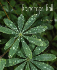Title: Raindrops Roll: With Audio Recording, Author: April Pulley Sayre