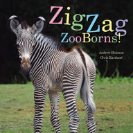 Title: ZigZag ZooBorns!: Zoo Baby Colors and Patterns, Author: Andrew Bleiman
