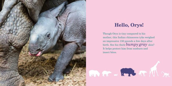 ZigZag ZooBorns!: Zoo Baby Colors and Patterns
