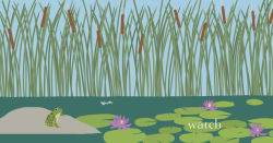 Alternative view 7 of Ribbit