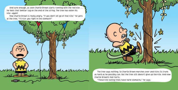 Go Fly a Kite, Charlie Brown! (Peanuts Friends Series)