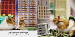 Alternative view 2 of Tiny Hamster Is a Giant Monster