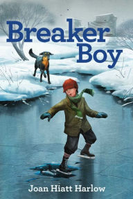 Title: Breaker Boy, Author: Joan Hiatt Harlow