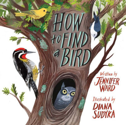 How To Find A Bird By Jennifer Ward Diana Sudyka Hardcover