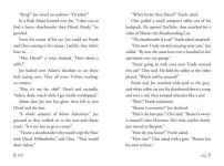 Alternative view 2 of A Skateboard Cat-astrophe (Hardy Boys Clue Book Series #6)