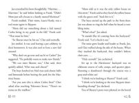 Alternative view 6 of A Skateboard Cat-astrophe (Hardy Boys Clue Book Series #6)
