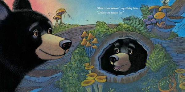 Where, Oh Where, Is Baby Bear?