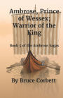 King Of Kings Warrior Of Rome Book 2 By Harry Sidebottom
