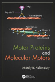 Title: Motor Proteins and Molecular Motors / Edition 1, Author: Anatoly B. Kolomeisky