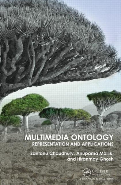 Multimedia Ontology: Representation and Applications / Edition 1