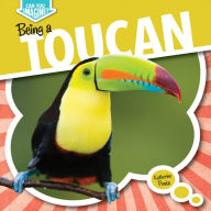 Title: Being a Toucan, Author: Katherine Ponka