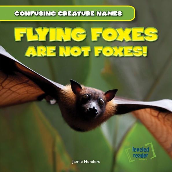 Flying Foxes Are Not Foxes!