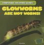 Glowworms Are Not Worms!