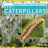 Title: Tent Caterpillars, Author: Barbara M. Linde