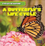 A Butterfly's Life Cycle