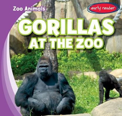 Gorillas at the Zoo