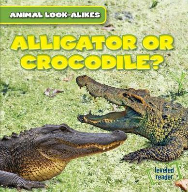 Alligator or Crocodile?