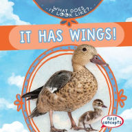 Best books to read free download pdf It Has Wings! by Kathleen Connors (English literature)