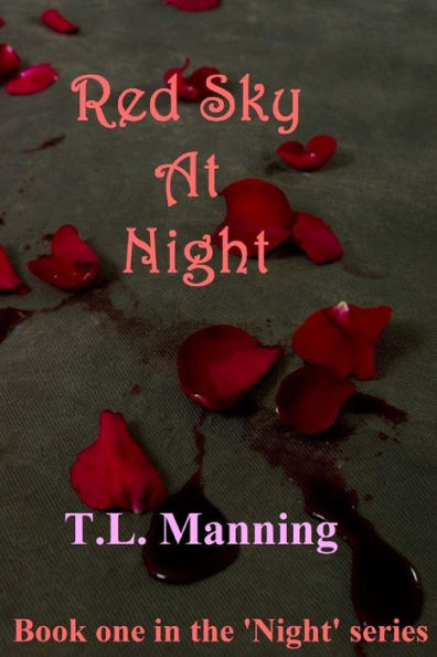 Red Sky At Night: Book one in the 'Night' series