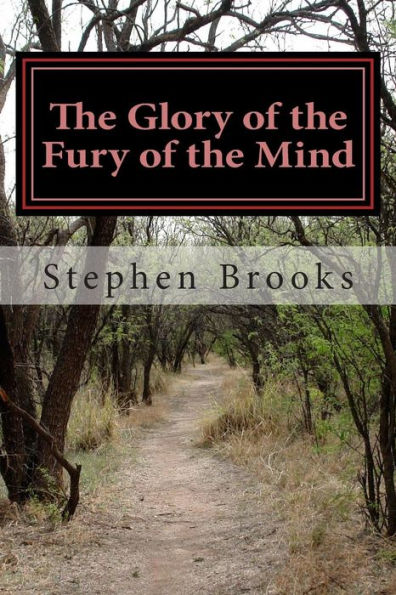 The Glory of the Fury of the Mind: A Novelty of Poems