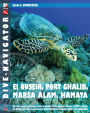 Dive-navigator EL QUSEIR, PORT GHALIB, MARSA ALAM, HAMATA: The most popular dive sites south of Safaga to the southern border of Egypt, include St. Johns reef system and National Park Brothers, Dedalus, Rocky and Zabargad