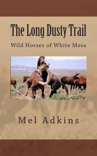 The Long Dusty Trail: Wild Horses of White Mesa