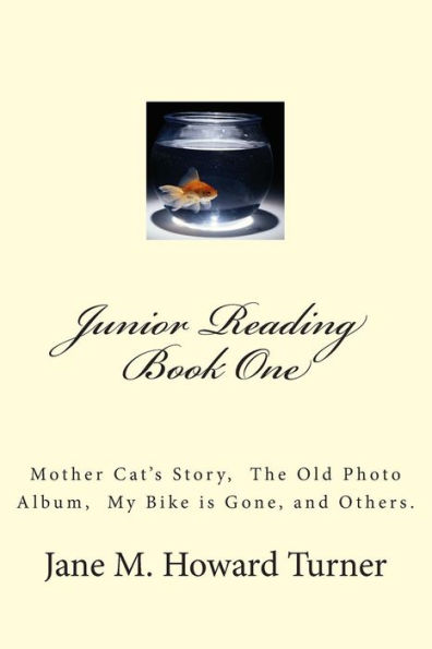 Junior Reading Books: Mother Cat's Story,The Old Photo Album, My Bike is Gone, and others.