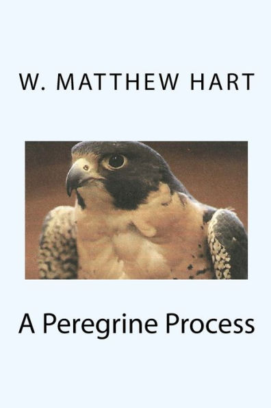 A Peregrine Process