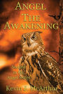 Angel: The Awakening