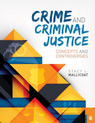 Title: Crime and Criminal Justice: Concepts and Controversies / Edition 1, Author: Stacy L. Mallicoat