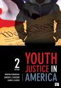 Youth Justice in America / Edition 2