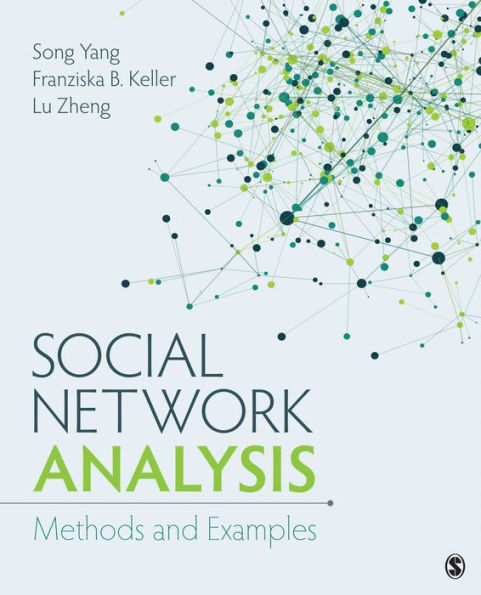 Social Network Analysis: Methods and Examples / Edition 1