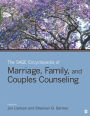 The SAGE Encyclopedia of Marriage, Family, and Couples Counseling