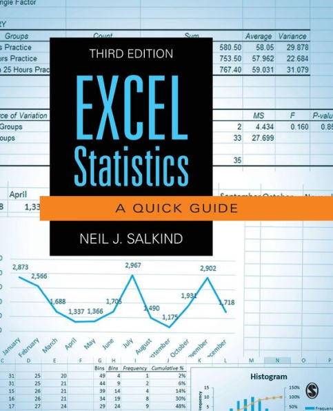 Excel Statistics: A Quick Guide / Edition 3