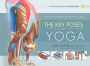 The Key Poses of Yoga: Scientific Keys, Volume II