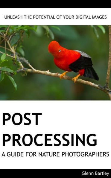 Post Processing: A Guide For Nature Photographers