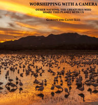 Title: Worshipping with a Camera: Other Nations; The Creatures Who Share This Planet With Us, Author: Gordon Illg
