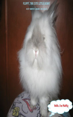 big fluffy rabbit