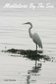 Title: Meditations by the Sea: Poems, Author: Gail Rooke