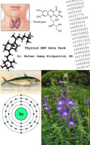 Title: Thyroid SNP Data Pack, Author: Dr. Walker Jamey Kirkpatrick